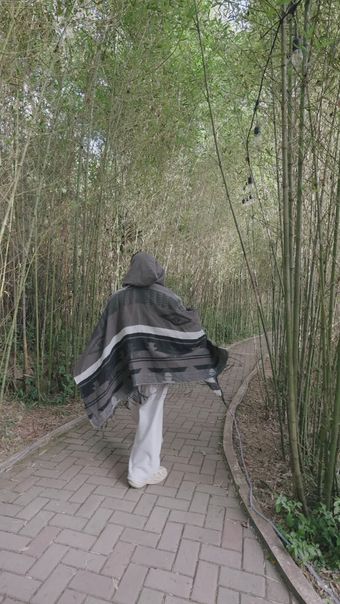 竹林走视频素材