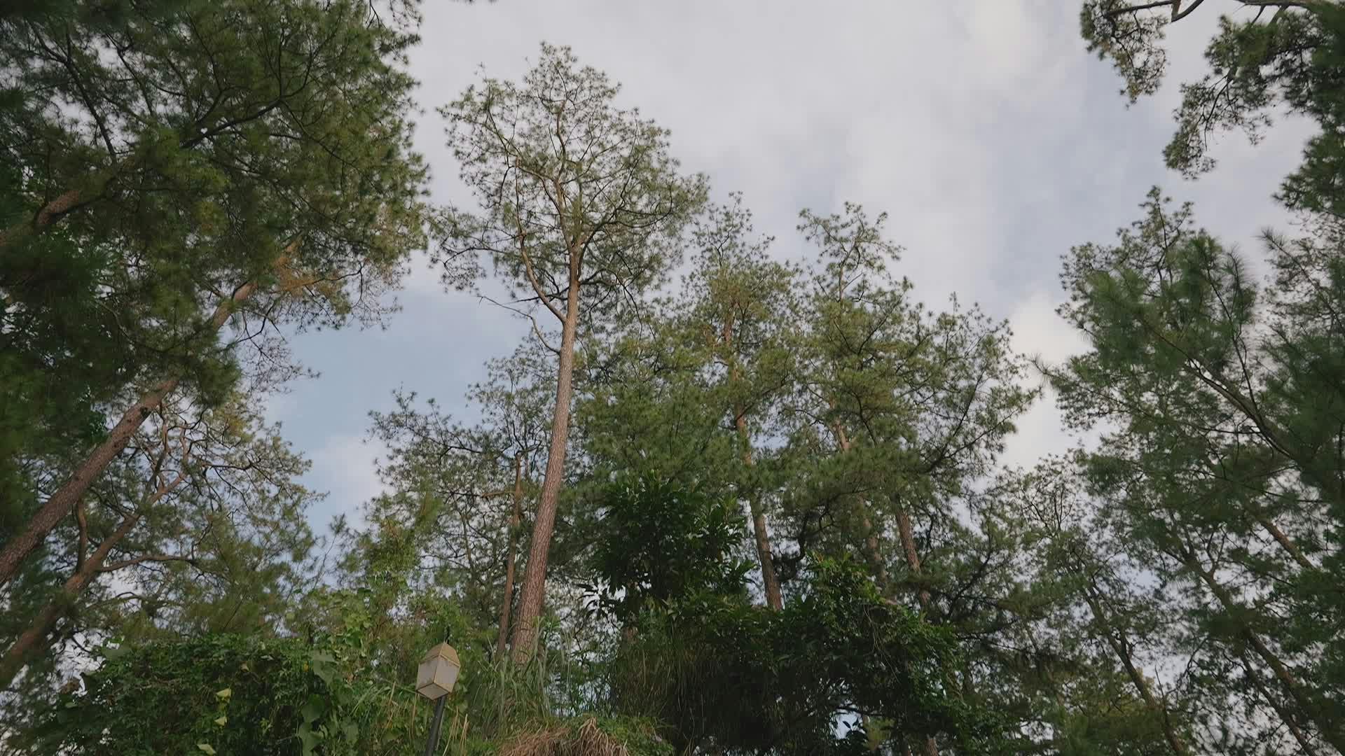 Video by Airam Dato-on