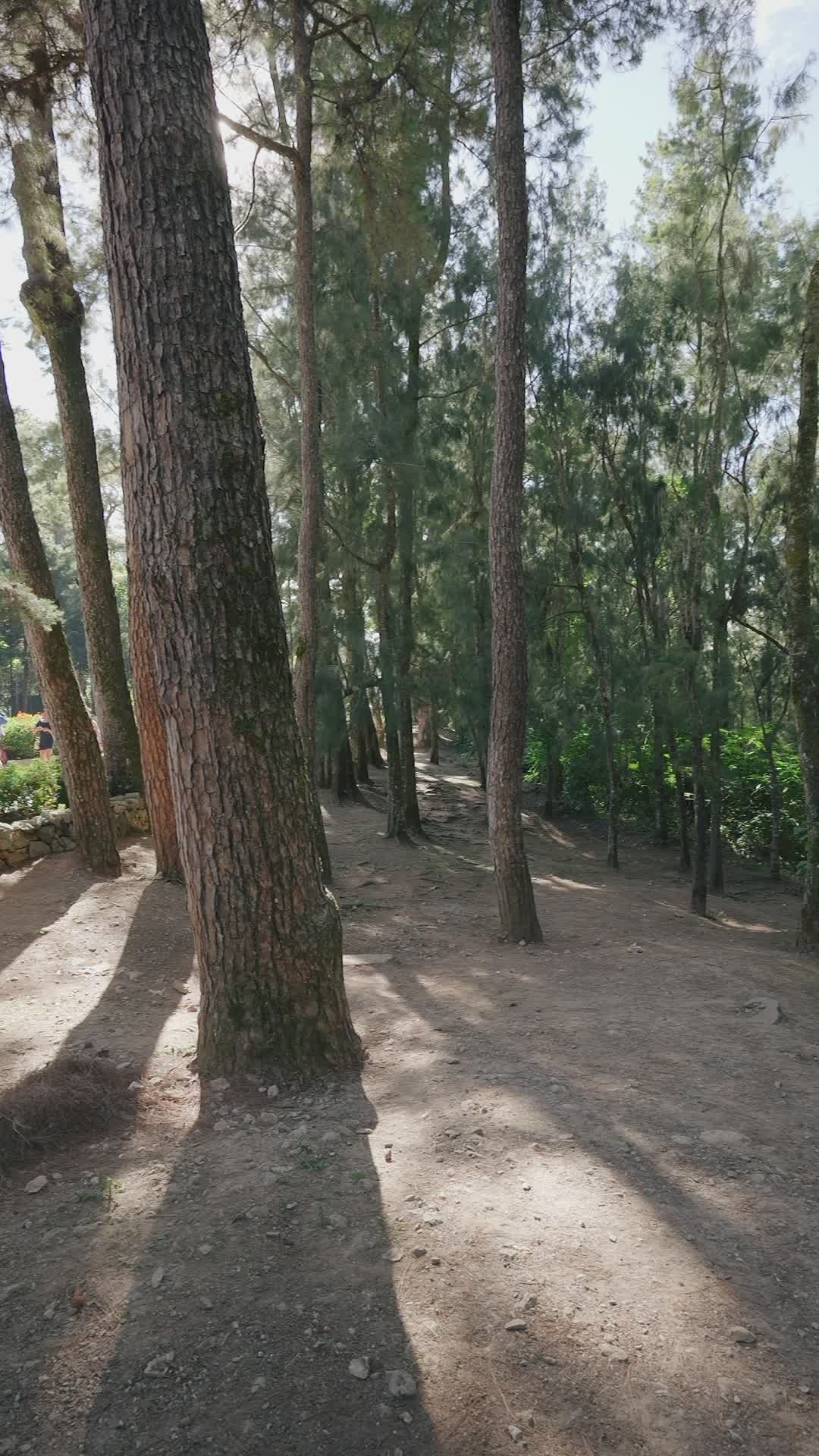 Video by Airam Dato-on