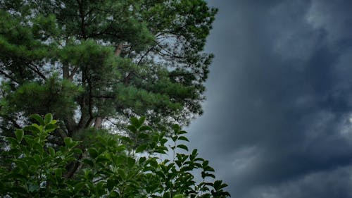 Donkere Wolken Bewegen Met De Sterke Wind