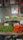 fruits and vegetables