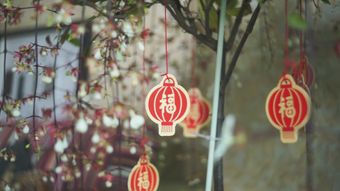 春节免费下载高清视频免费下载视频素材