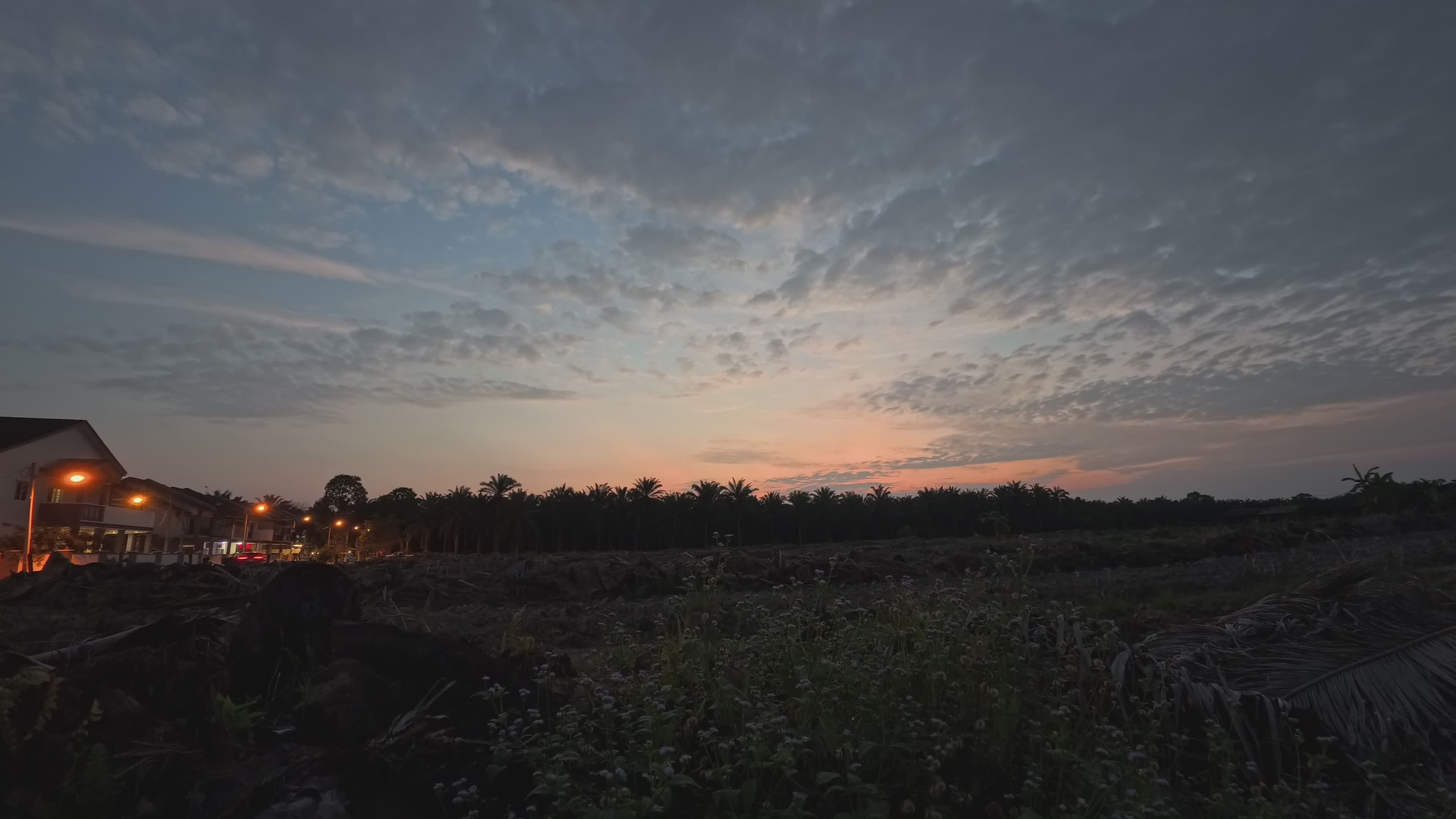 Serene Sunset Over Lush Forest Landscape Free Stock Video Footage ...