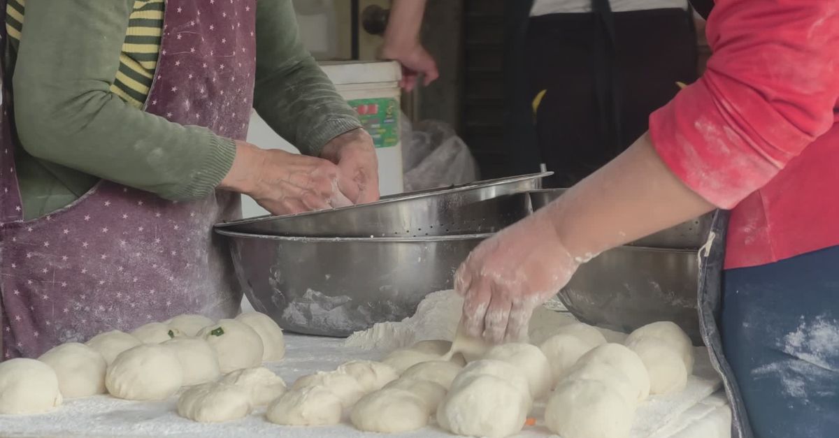 Hands Kneading Dough in Traditional Bakery Free Stock Video Footage ...