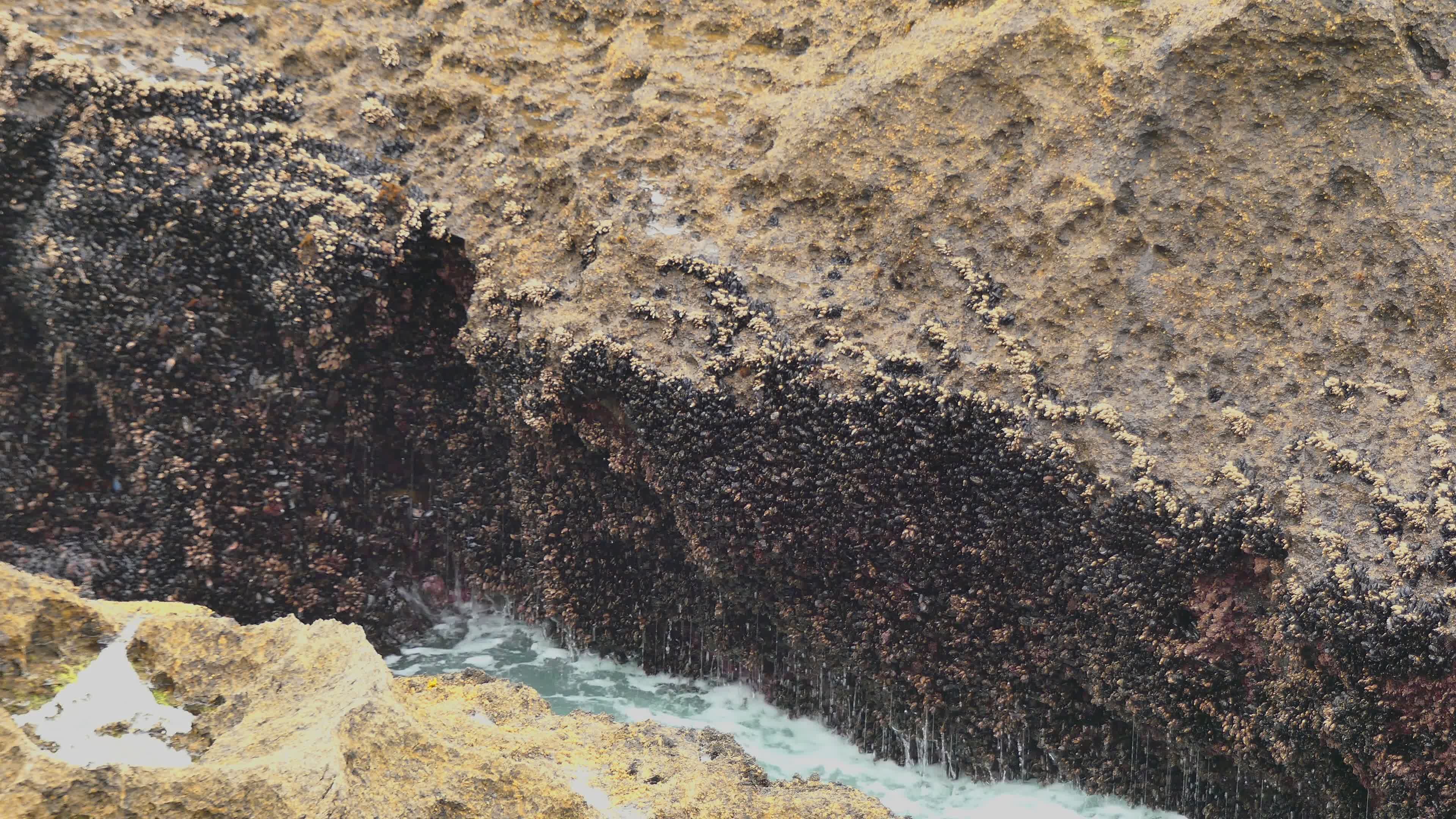 Waves Crashing Against Rocky Seaside Cliff Free Stock Video Footage ...
