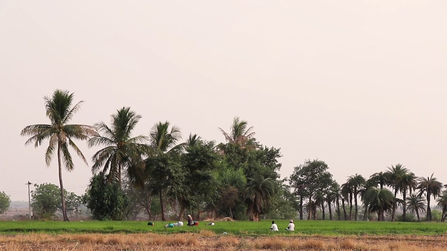 India Rural Scene Videos, Download The BEST Free 4k Stock Video Footage ...