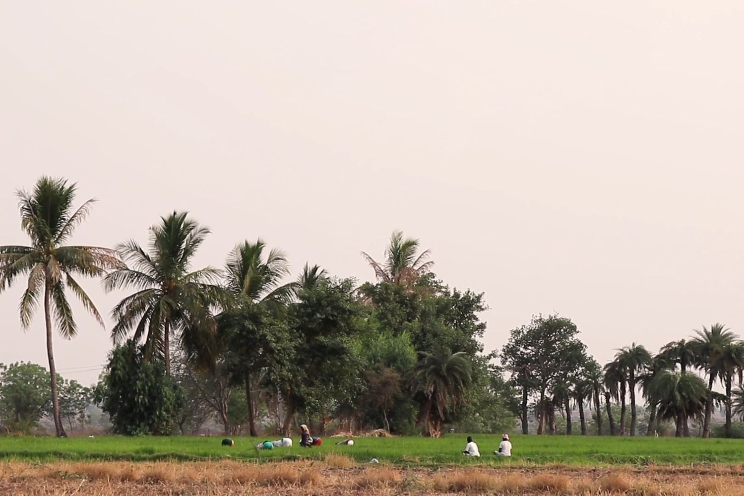 The Rural Channel Hd India Rural Scene Videos, Download The BEST Free 4k Stock Video Footage ...