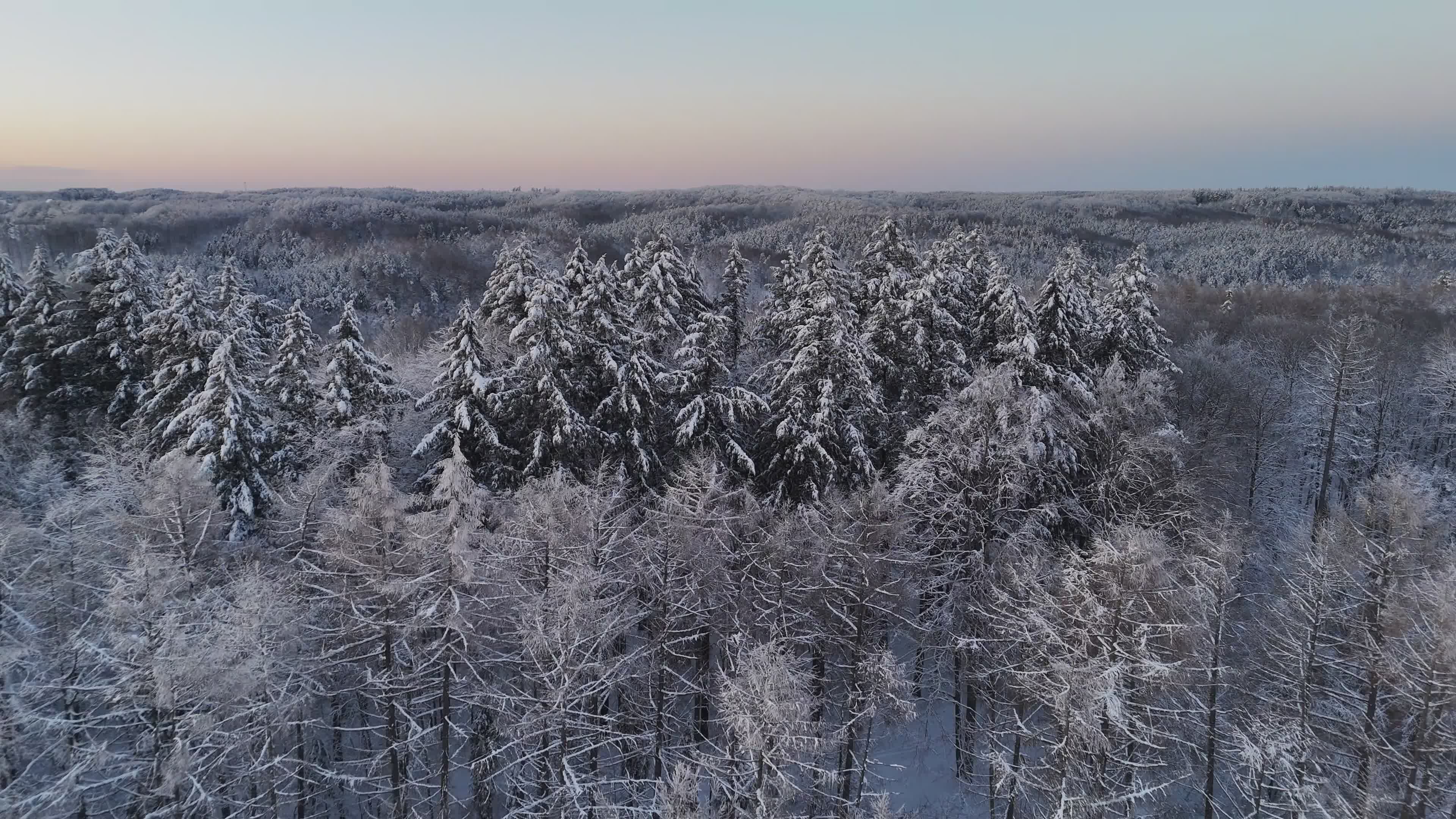 Aerial View of Snow-Covered Winter Forest Free Stock Video Footage ...