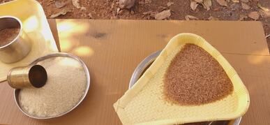 traditional grain sorting in sunlit environment