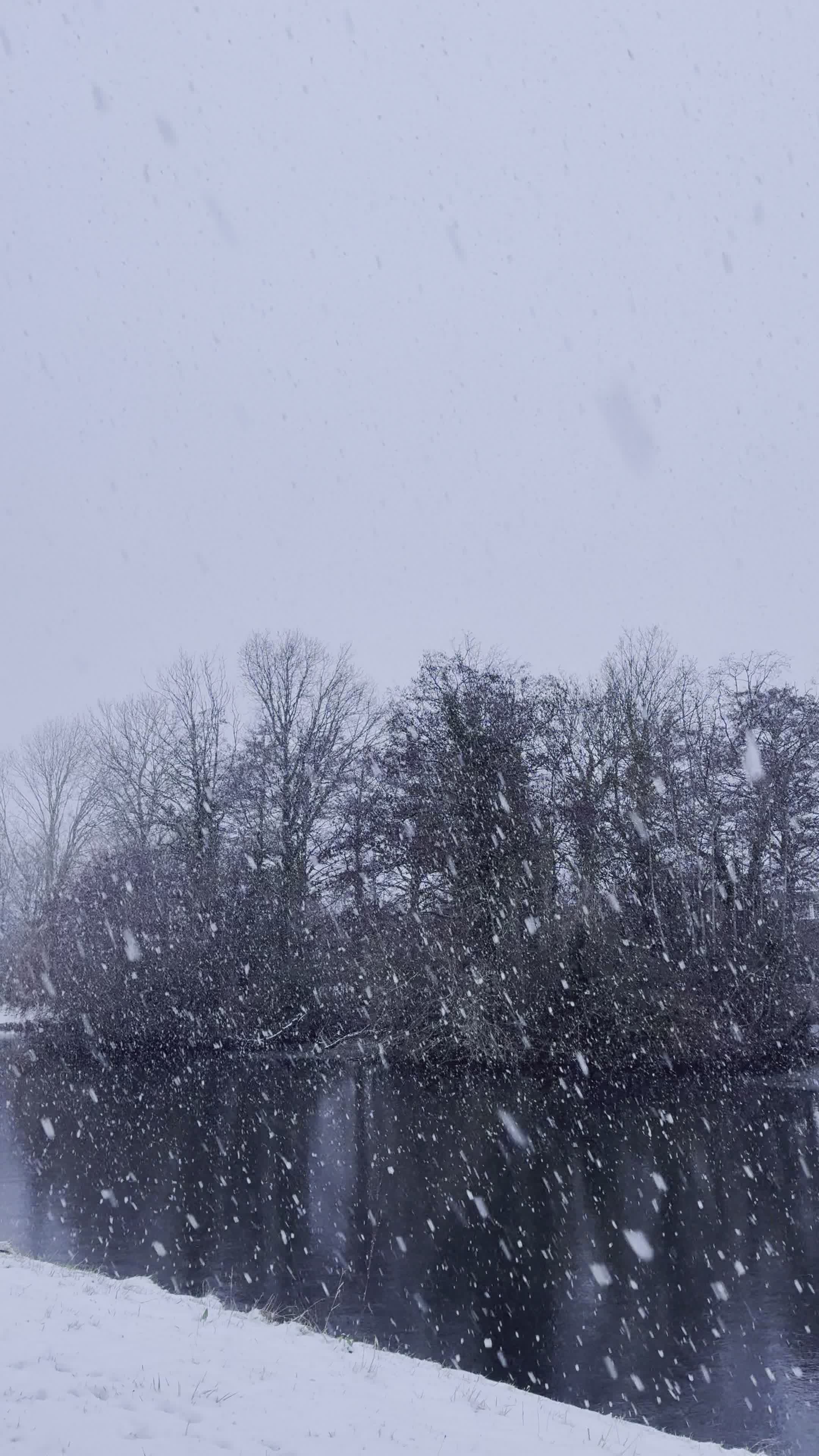 serene winter scene with snowfall by a river 36170995
