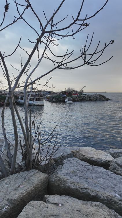 Tranquil Lakeside at Twilight with Boats Free Stock Video Footage ...