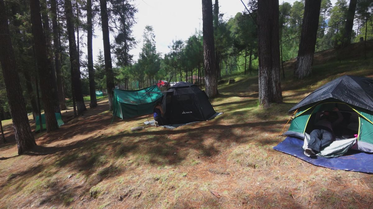 A tent in the woods with a car parked next to it Free Stock Video ...