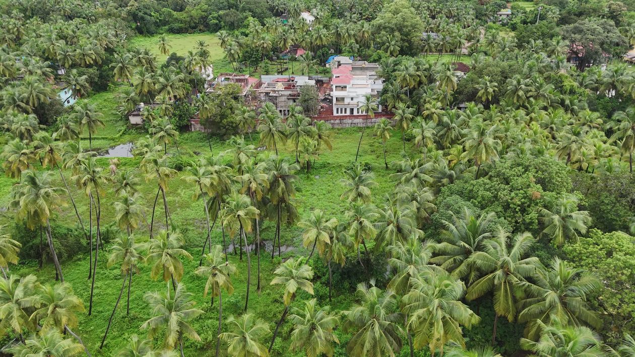 Aerial View of Lush Tropical Landscape Free Stock Video Footage ...