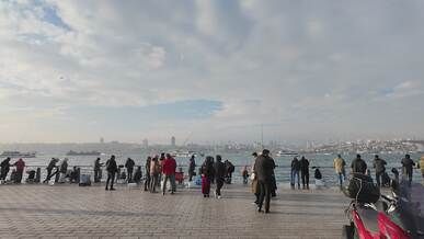 scenic waterfront with city skyline at daylight