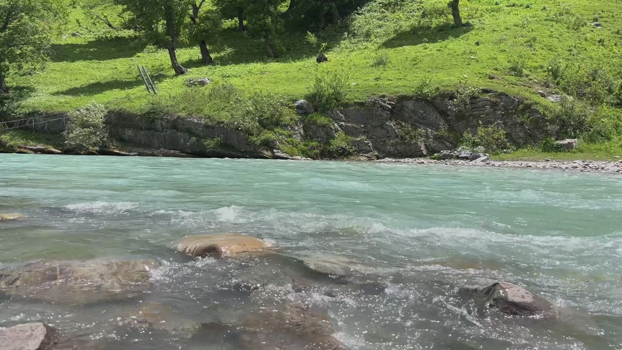 Scenic Flowing River in Lush Green Landscape Free Stock Video Footage ...