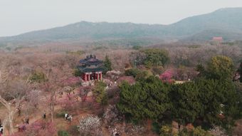 陈家洞景区免费下载视频素材视频素材