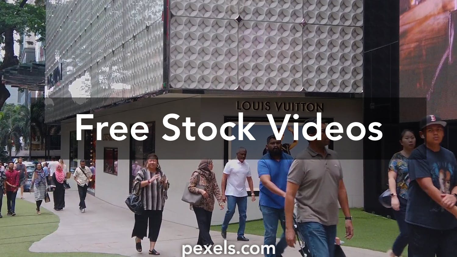 2 Monogram Lv Stock Video Footage - 4K and HD Video Clips