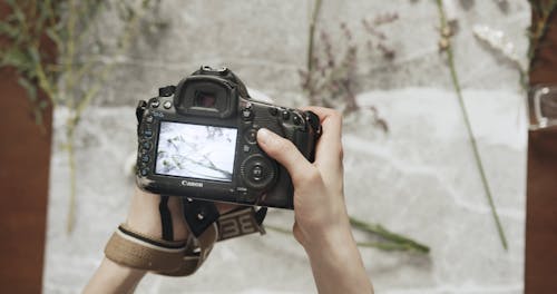 Seorang Fotografer Mengambil Gambar Subjeknya