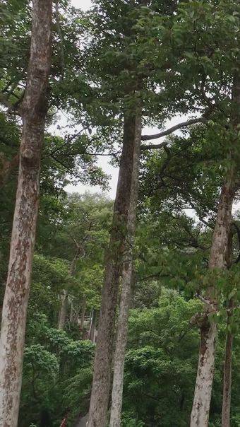 休闲运动免费下载高清视频免费下载视频素材