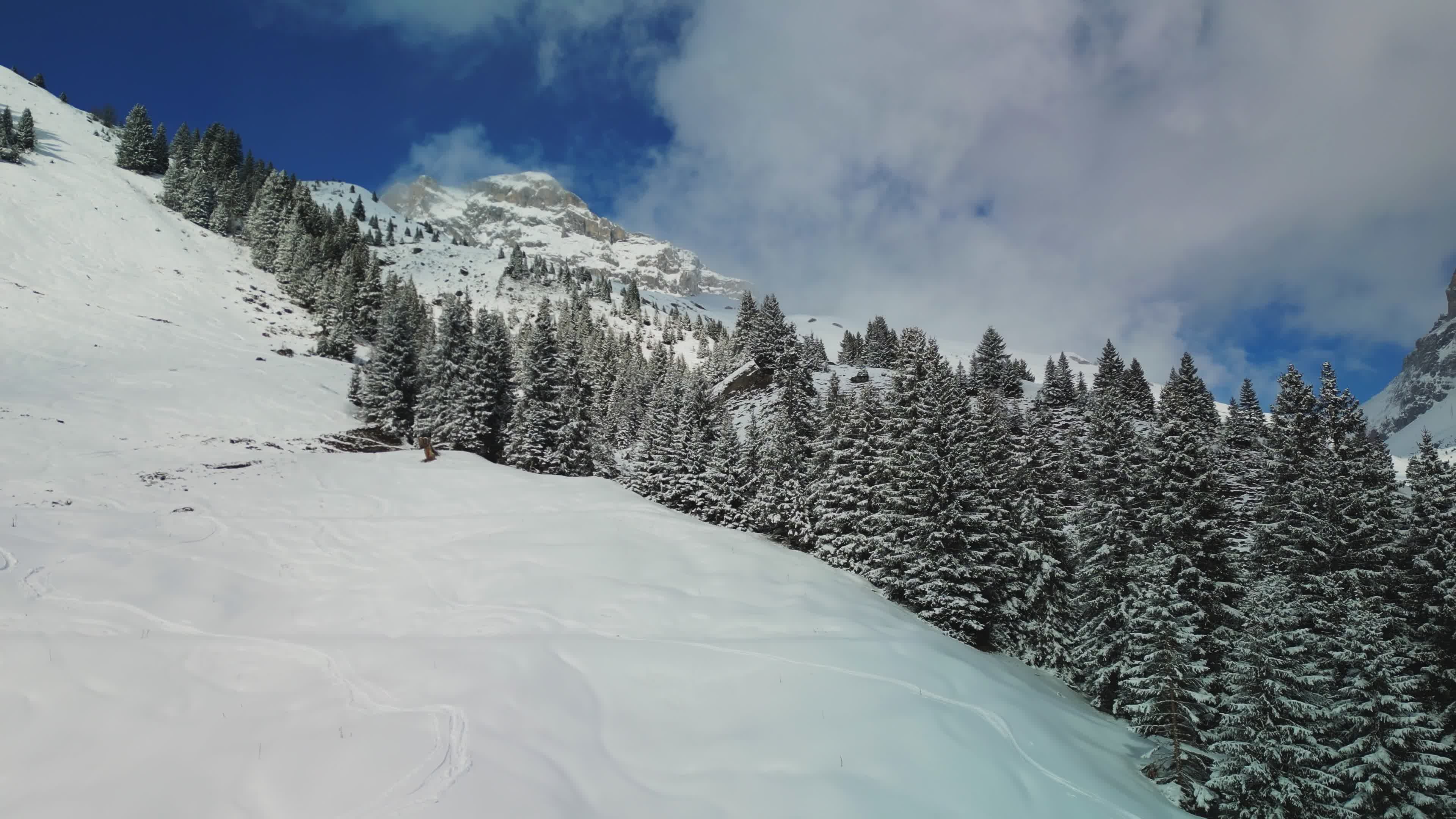 Stunning Aerial View of Snowy Alpine Mountains Free Stock Video Footage ...