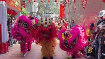 春节免费下载视频素材