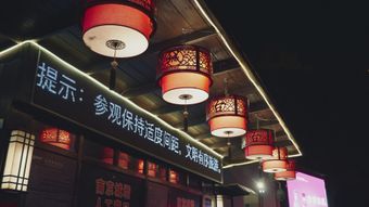 国潮视频素材免费下载视频素材