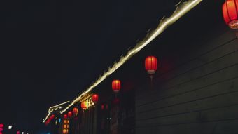 国潮视频素材免费下载视频素材