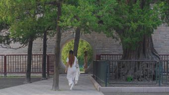 道士视频素材