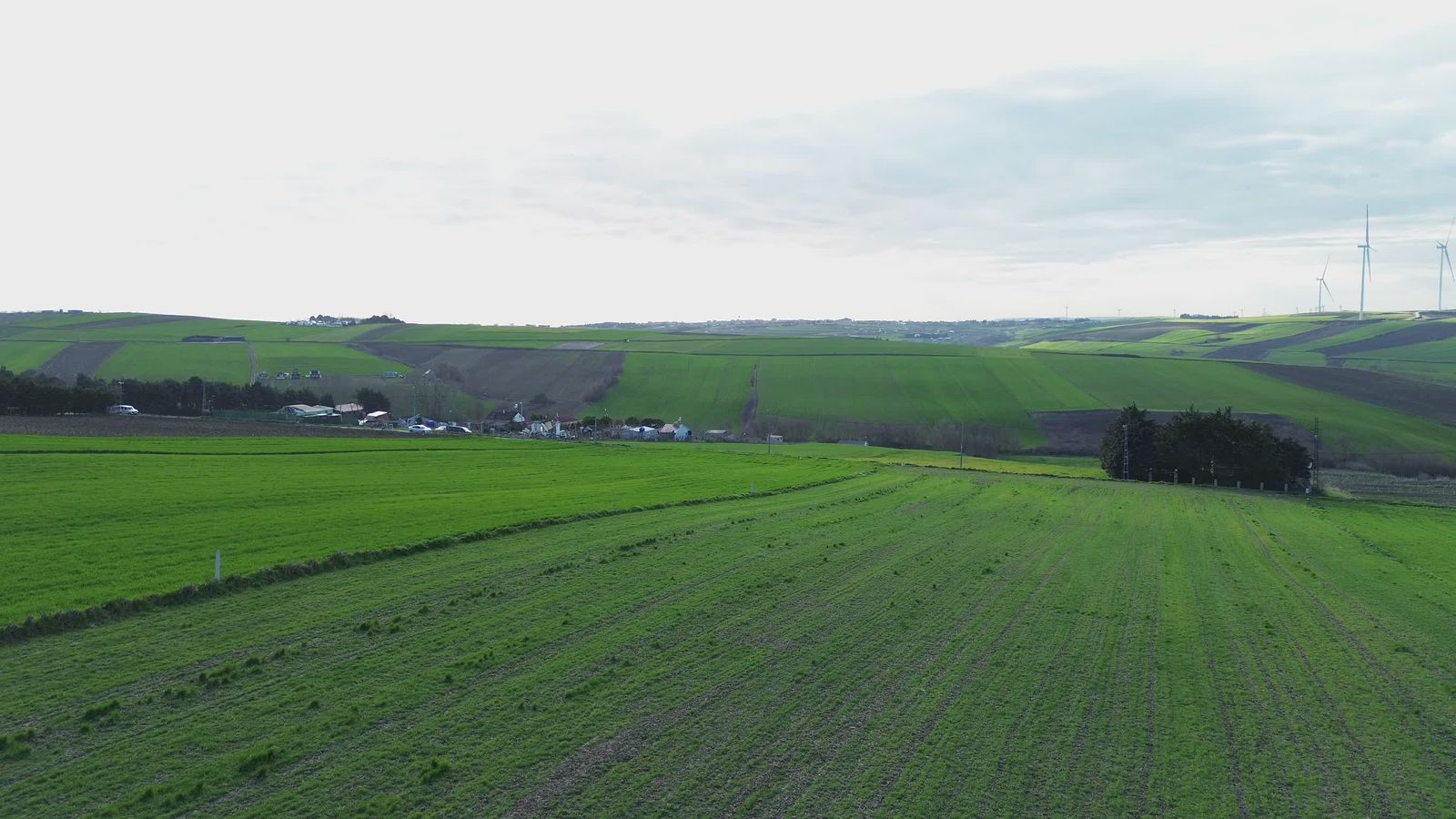 Drone Footage of a Residential Area Free Stock Video Footage, Royalty ...