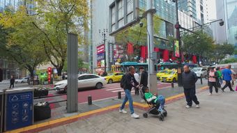 浦东街景视频素材