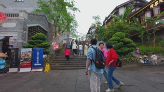 景区出入口免费下载视频素材视频素材