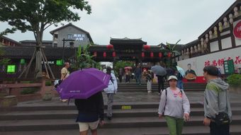 江南烟雨视频素材