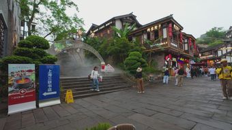 景区出入口高清视频视频素材