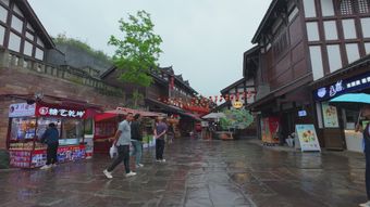 江南烟雨视频素材