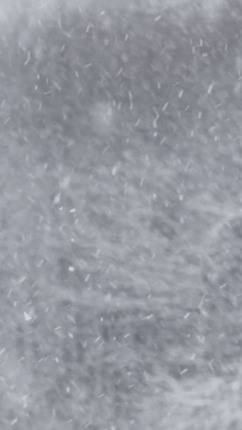 下雪高清视频视频素材视频素材