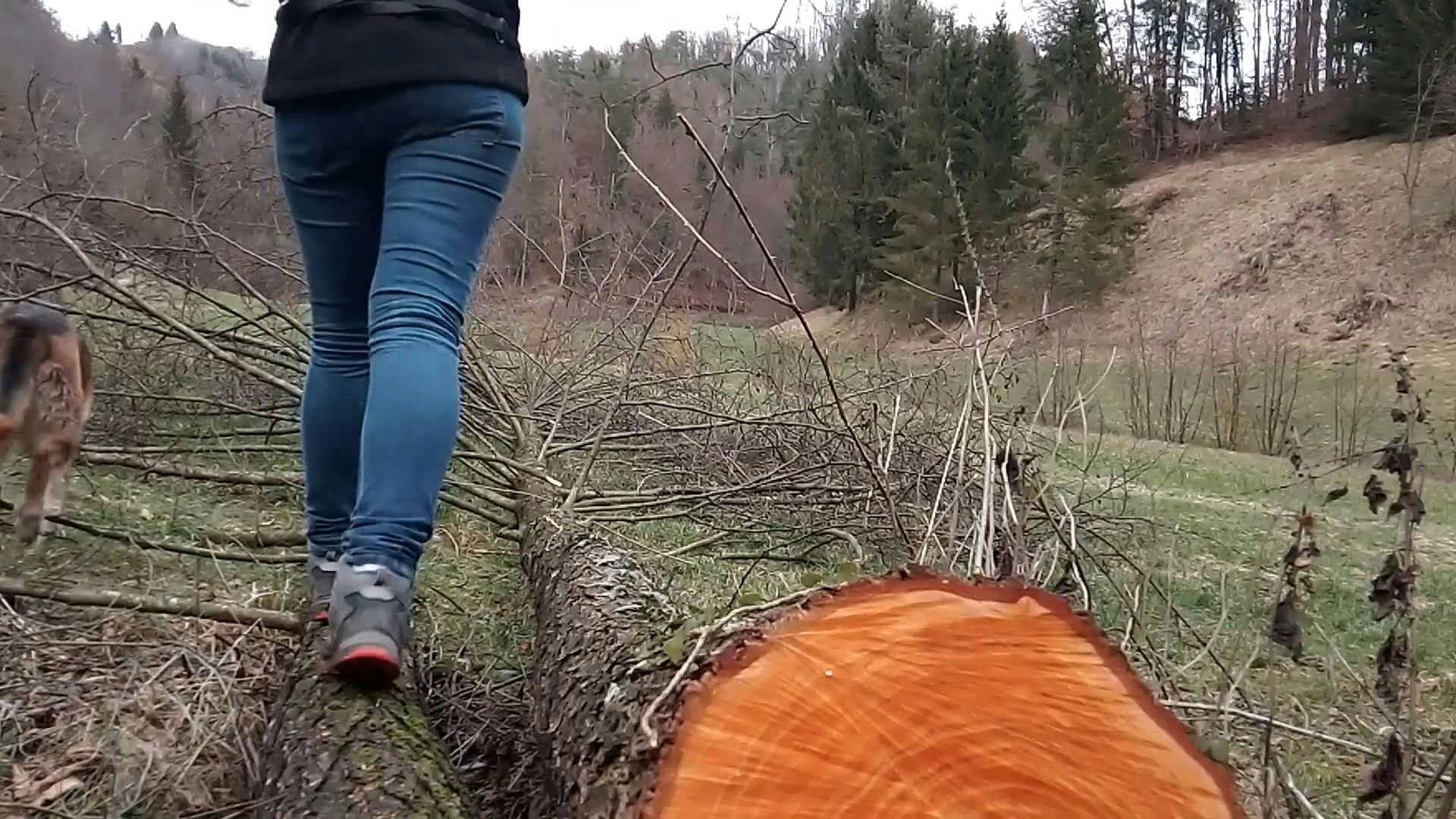 A Woman Walking Over A Cut Tree Lying On The Forest Ground · Free Stock