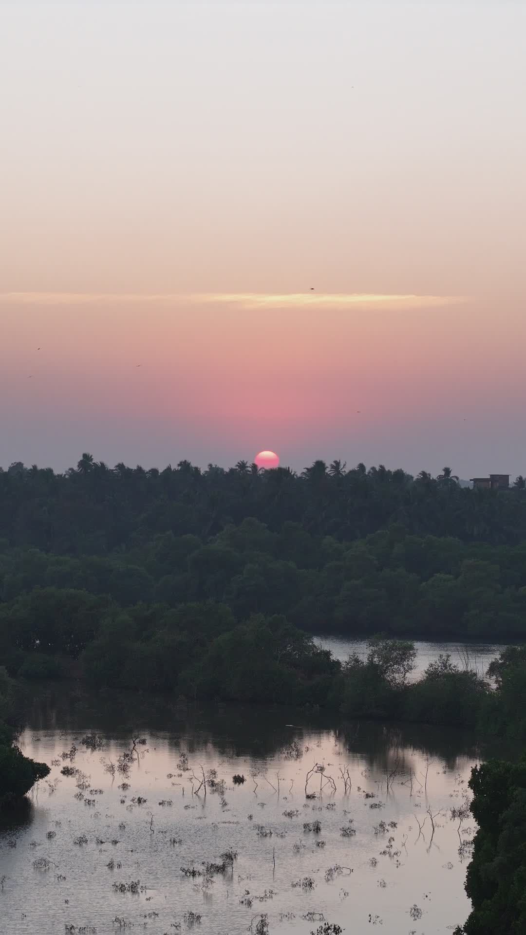 serene sunset over lush forest and lake 36371118 — free pexels stock footage
