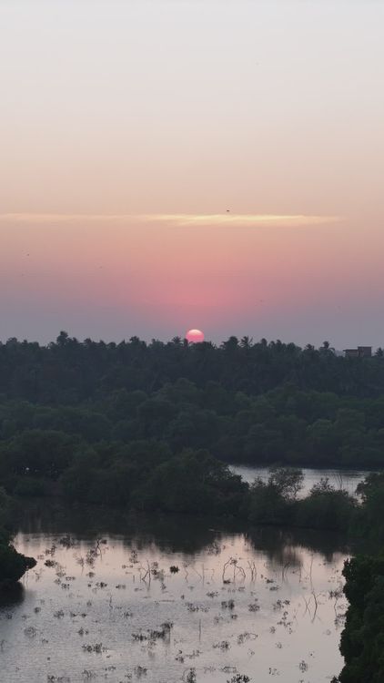 Serene Sunset Over Lush Forest and Lake Free Stock Video Footage ...