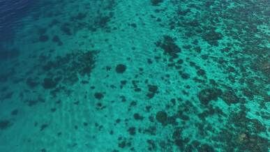 stunning aerial view of tropical coral reef