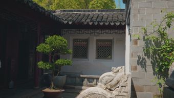江南小院视频素材