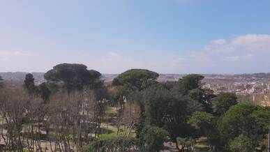aerial view of rome s historic skyline