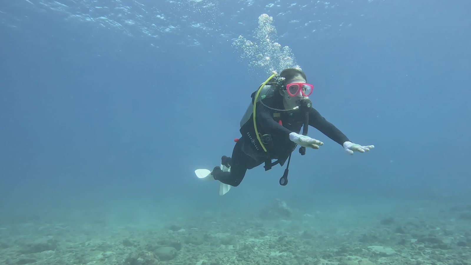 Scuba Diver Exploring Vibrant Underwater World Free Stock Video Footage ...