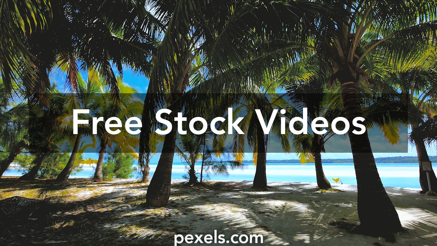 20,000+ Best Zoom Backgrounds Videos · 100% Free Download · Pexels Stock  Videos