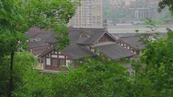 江南烟雨视频素材