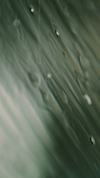 水珠滴落免费下载免费下载视频素材视频素材视频素材