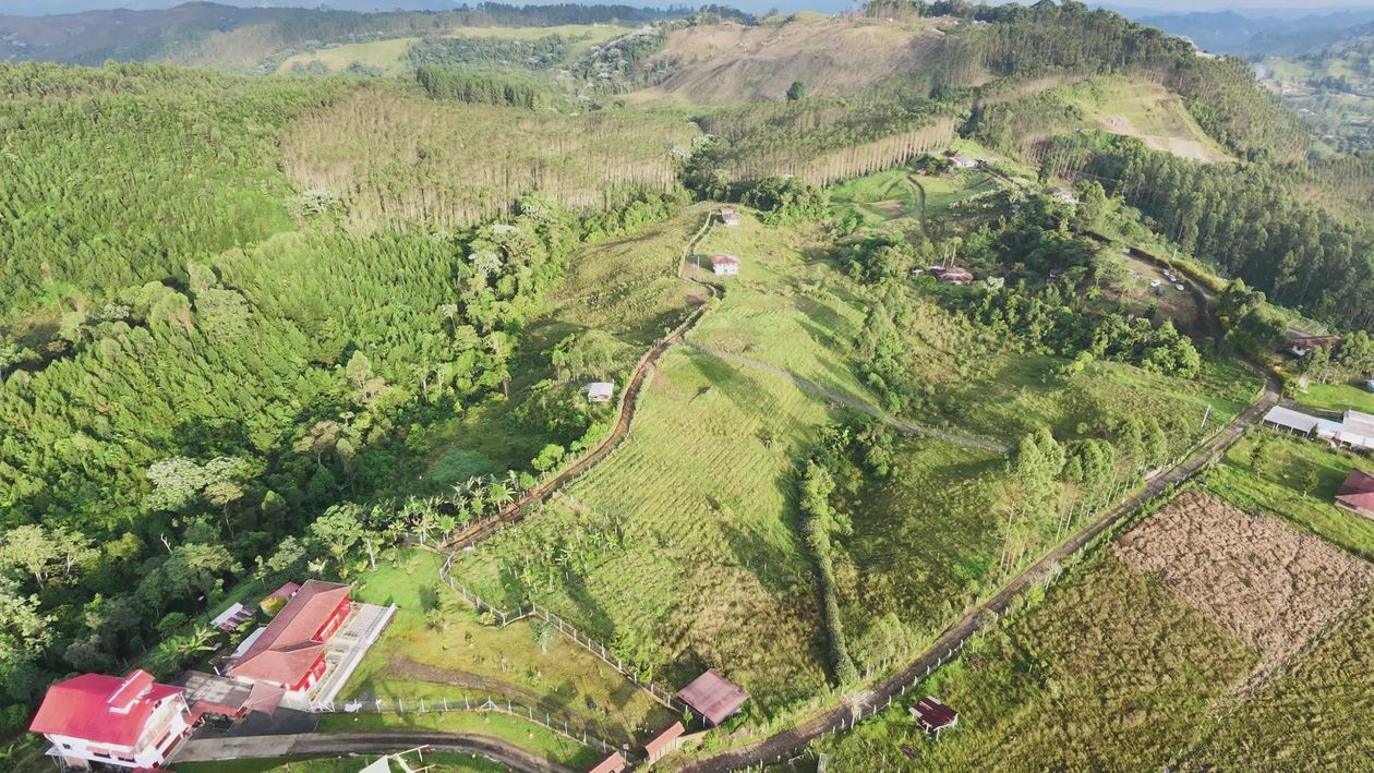 Landscape View Video Stunning 4K Aerial View of Lush Green Landscape Free Stock Video ...