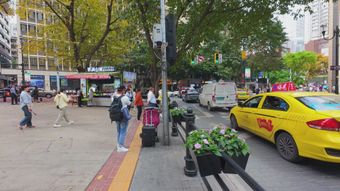 街高清视频免费下载视频素材