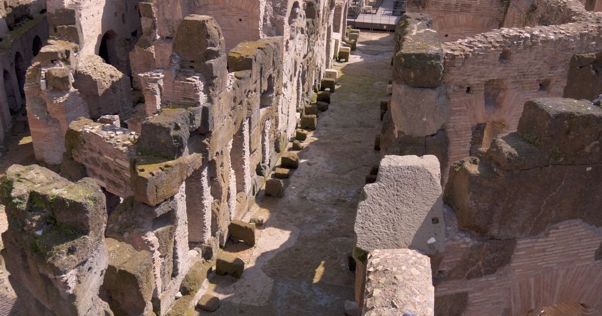 Roma