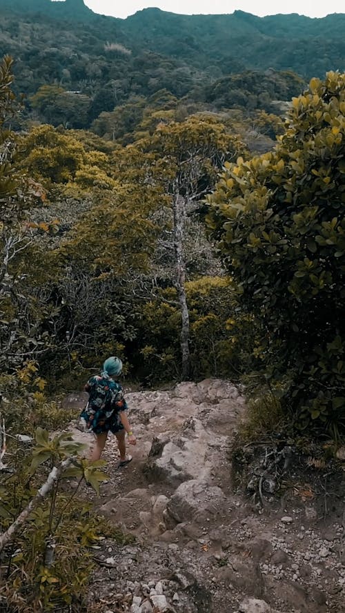 丘から岩だらけの小道を歩いている女性