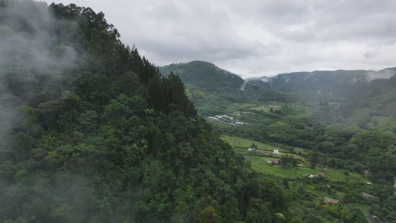 Stunning Aerial View of Lush Green Landscape Free Stock Video Footage ...